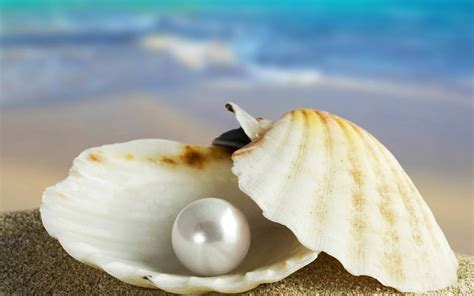 What is Sea Shell Pearl? - Celovis Jewelry – Celovis Jewellery