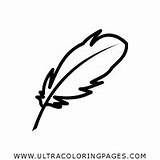 Quill Coloring Pages  Ultra sketch template