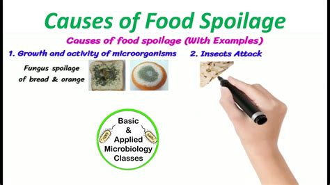 Causes of food spoilage | Animated clip with pictorial examples | - YouTube