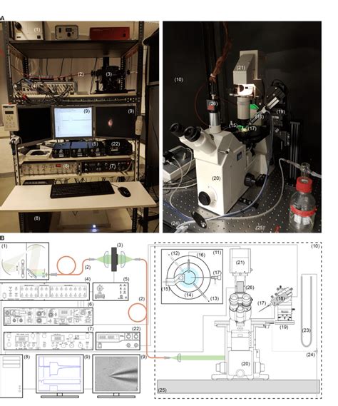 Patch-clamp Setup. (1) Light source, (2) optic fiber, (3) programmable... | Download Scientific ...