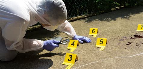 Crime Scene Investigation – News, Research and Analysis – The ...