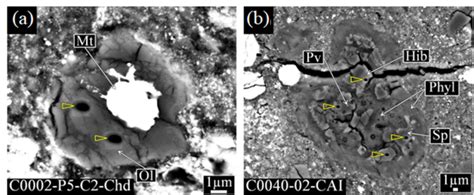 Figure 1 [IMAGE] | EurekAlert! Science News Releases