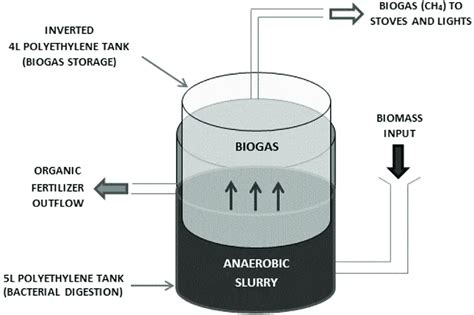 Role Of Anaerobic Bacteria In Sewage Treatment - Printable Templates Free