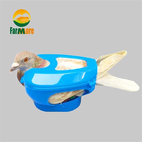 Aliexpress.com : Buy Pigeon Fixers Pigeon Fixed Box Given Medicines ...