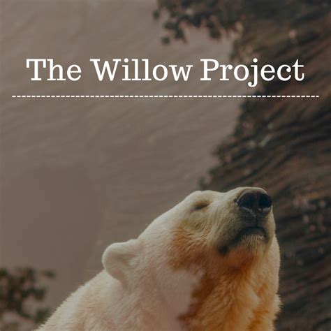 What is the Willow Project? — Pacer Times