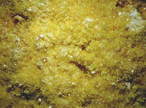 Sulfur - large plate of lustrous sulfur crystals from Baja California ...