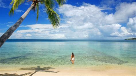 10 Best Day Trips from Viti Levu 2021 - Info & Tickets | GetYourGuide