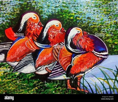 Art ,painting ,Acrylic,color ,Mandarin duck Stock Photo - Alamy