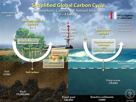 New Clue to Past CO2 Levels?? - Dan's Wild Wild Science Journal - AGU Blogosphere