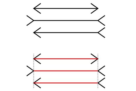 How the Muller-Lyer Illusion Is Used in Psychology | Illusion optique, Illusion, Optique