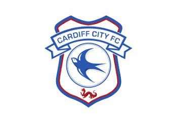 Cardiff City FC Player of the Year 1995-2024 - My Football Facts