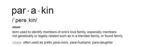 Para-kin. A new way to define blended families