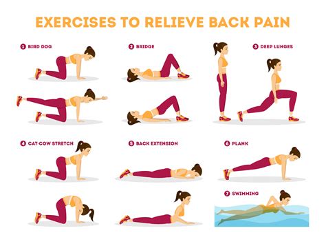 Exercises to Relieve Lower Back Pain | Physical & Sports Rehab