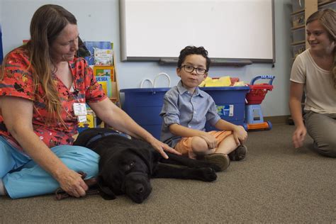 Therapy dogs aren't always the answer to help children with autism