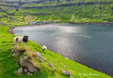 The Village of Tjornuvik | Streymoy, Faroe Islands | Jens Preshaw ...