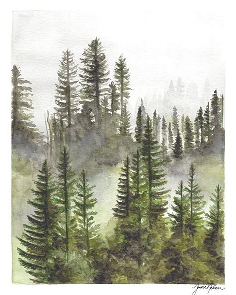 Evergreen Tree Watercolor Forest Watercolor Foggy Forest Mountain Landscape Misty Forest Pine ...