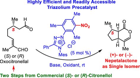 Enantiospecific Synthesis of Nepetalactones by One-Step Oxidative NHC Catalysis.,Organic Letters ...