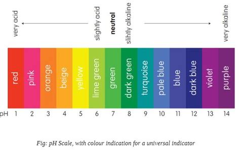 Is Hbr An Acid Or Base | itechguides