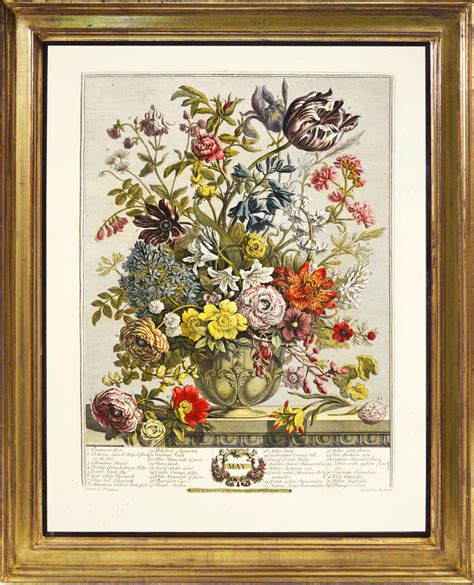 Robert Furber - Twelve Months of Flowers