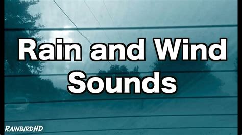 12 Hours Rain and Wind Sounds For Sleeping | Rainfall, Distant Thunder, Wind, Ambience, Sleep ...