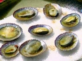 Natural History, Creation and Religious Conflicts: Eating limpets