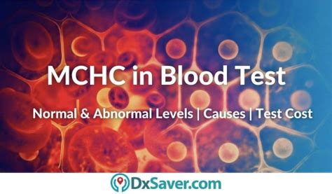 Mean Corpuscular Hemoglobin Concentration, MCHC Blood Test Normal, High & Low Levels – DxSaver.com