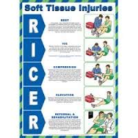 Management - grade ii MCL KNEE Sprain