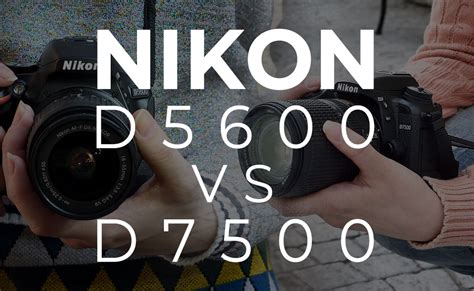 Nikon D5600 Vs D7500 - BuyDig.com Blog