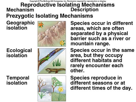 Reproductive isolation