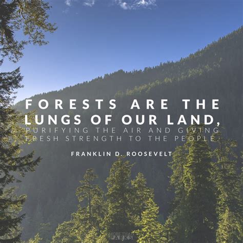 34 (INSPIRING) Conservation & Environmental Quotes With Images