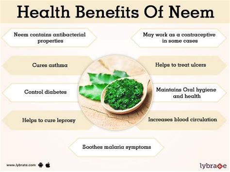 Neem Benefits And Its Side Effects | Lybrate