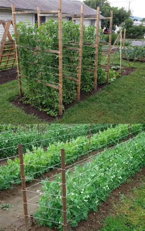 15 Easy DIY Cucumber Trellis Ideas | Diy garden trellis, Vegetable garden design, Backyard ...