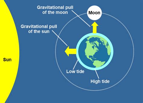 Difference Between Gravity and Gravitation - The Knowledge Library