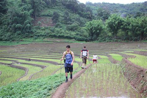 Mae Hong Son Trekking tour 3 Days 2 Nights | Thai Unika Travel