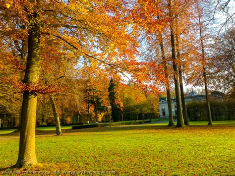 A meditation in Enghien - Around the world in three years