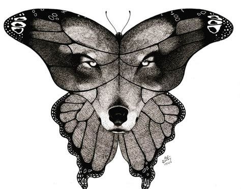 Interesting Doodle and Animal Drawings | Butterfly drawing, Animal ...