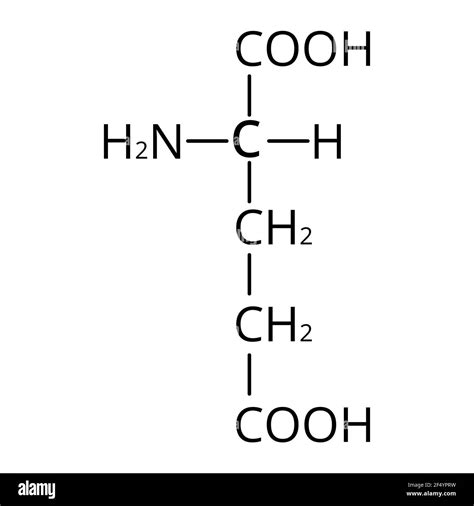 Glutamic acid is an amino acid. Chemical molecular formula glutamic acid amino acid. Vector ...