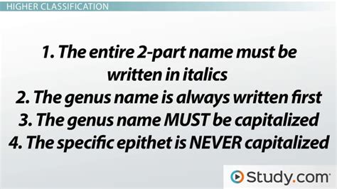 Binomial Nomenclature Examples Of Animals