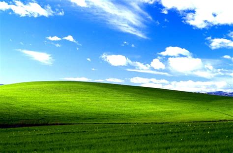 Download Windows 95 Wallpaper