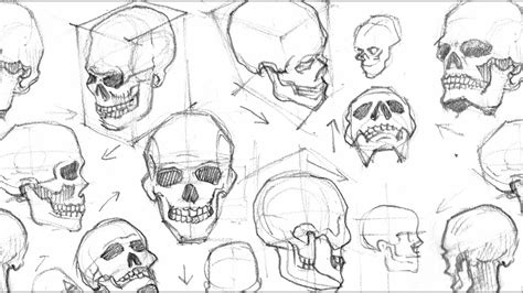 Drawing A Skull (From Different Angles) (Time-lapse) - YouTube