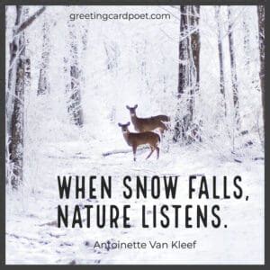 103 Inspirational Snow Quotes Showcasing the Magic of Winter