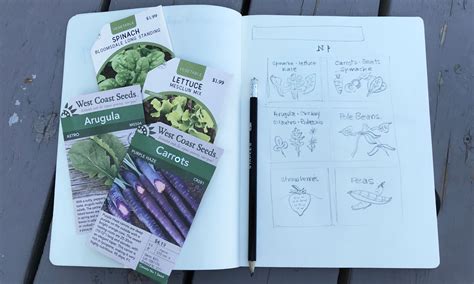 Gardening 101: How to choose the best seeds for your garden | RVwest