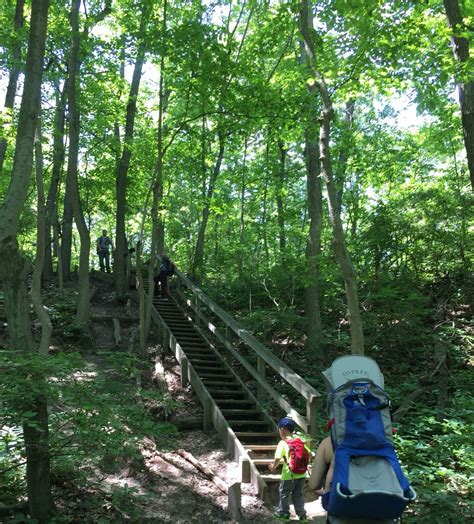 Cheesequake State Park | State parks, Park, Jersey shore