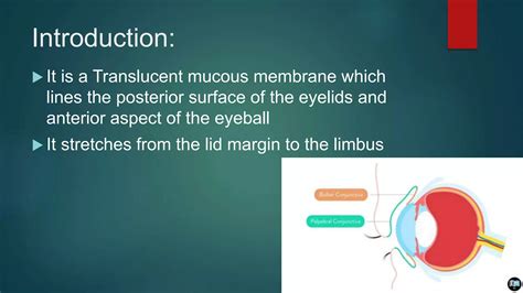 Conjunctiva and its Disorders | PPT | Free Download