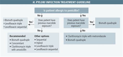 H. pylori Infection Treatment Guideline - MPR