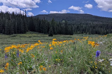 17 Steamboat Springs Camping Locations For Outdoor Enthusiasts [2023 ...