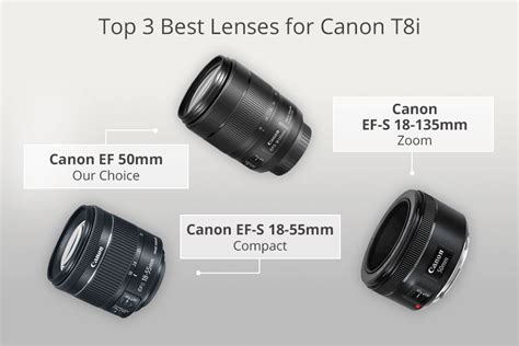 7 Best Lenses for Canon T8i in 2024