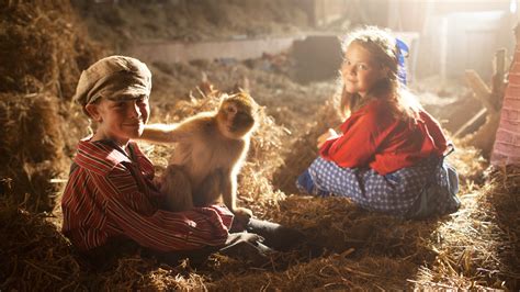 Watch Monkey Business from A to Z (2015) Full Movie Free Online - Plex