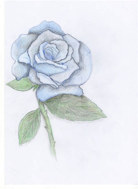 Blue Rose by CrYpToZ on DeviantArt