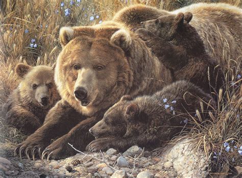 [Carl Brenders - Wildlife Paintings] Close to Mom (Brown Bears ...